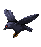 Pájaro